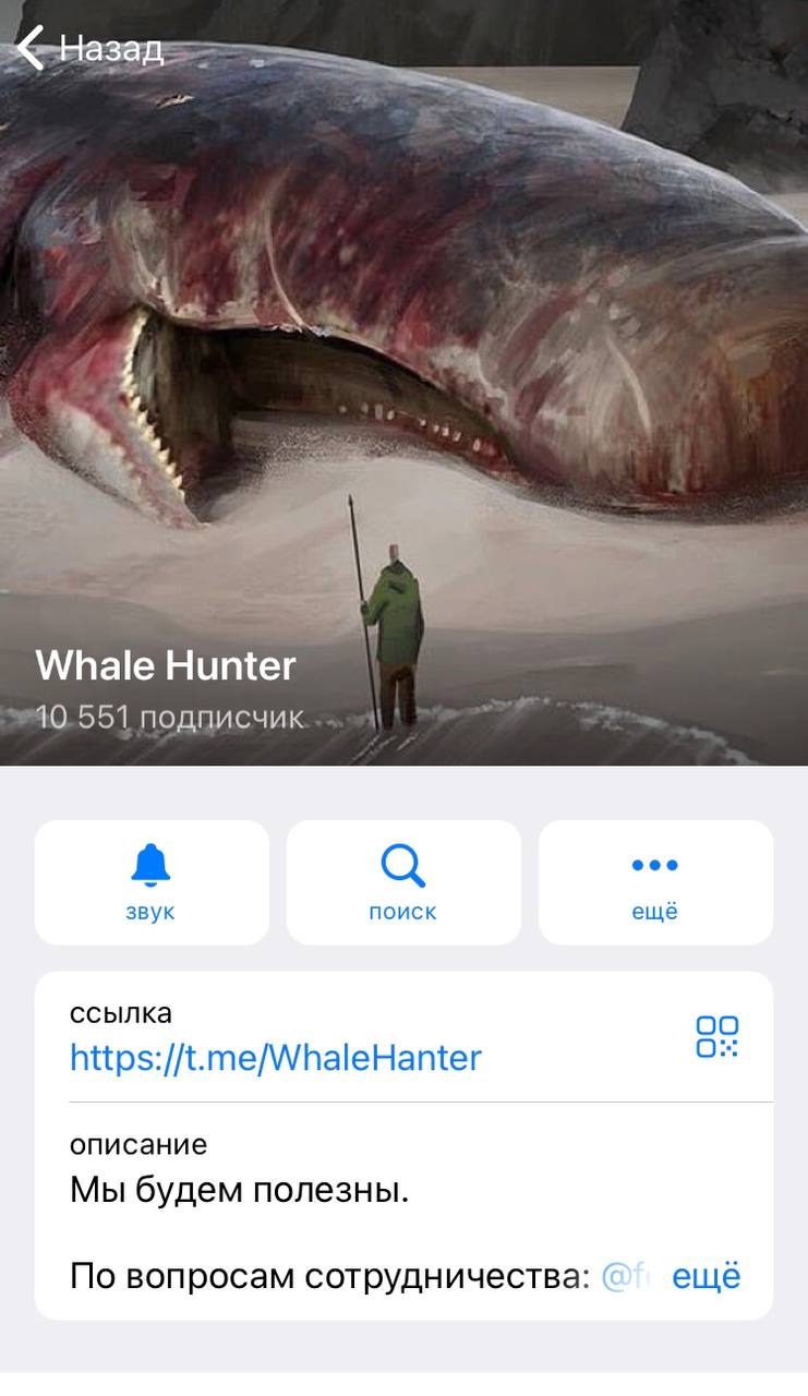 Телеграмм канал Whale Hunter